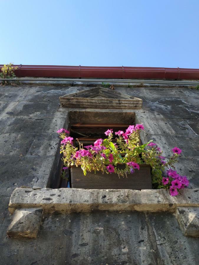 Hye Aspet Հայ Ասպետ Bed & Breakfast Gyumri Exterior photo